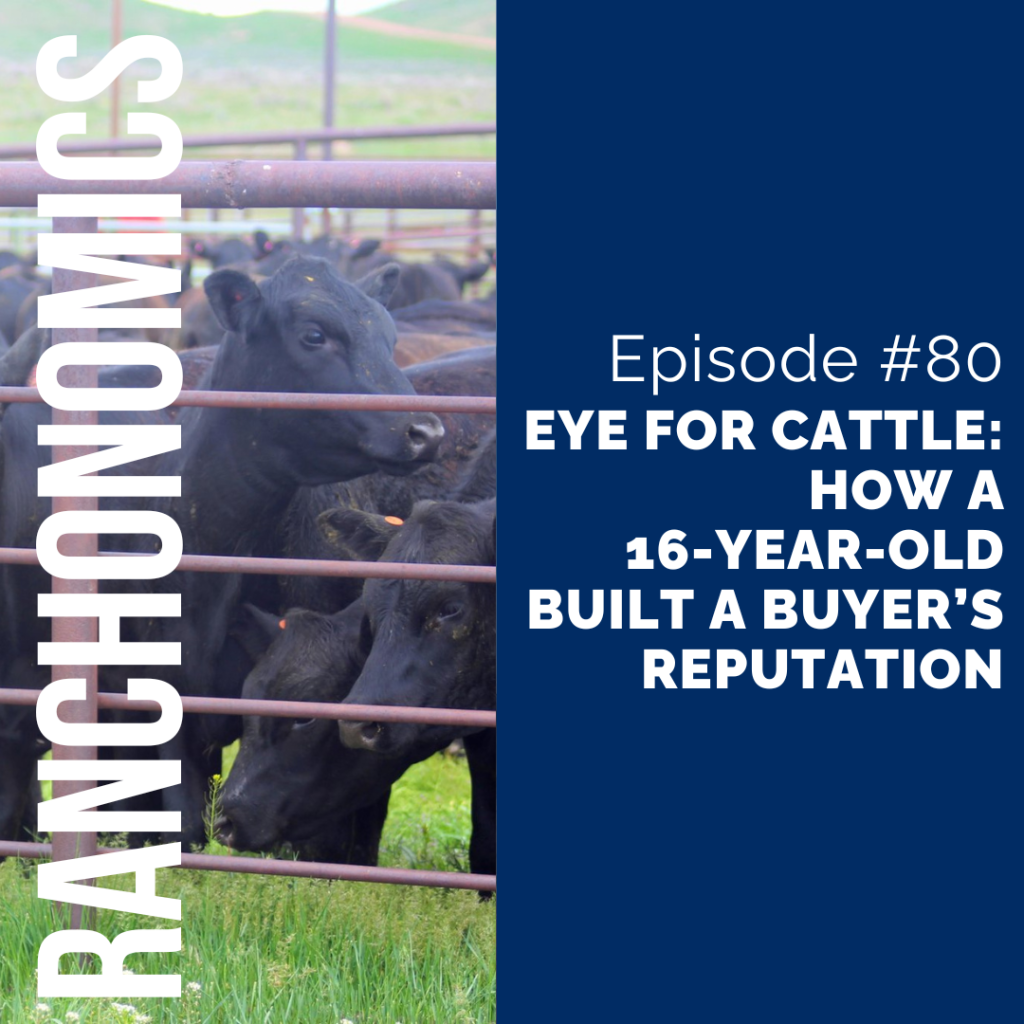 thumbnail graphic for Eye for Cattle: How a 16-Year-Old Built a Buyer’s Reputation [episode 80]