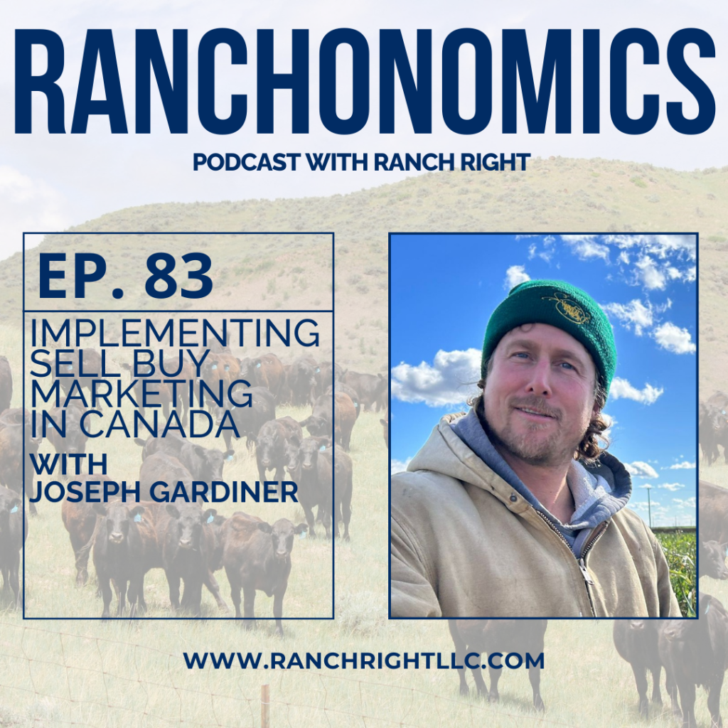 thumbnail graphic for Implementing Sell Buy Marketing in Canada with Joseph Gardiner [episode 83]